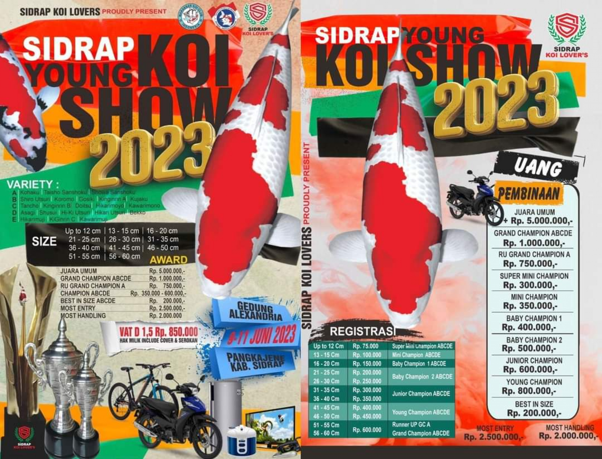 Sidrap Young Koi Show 2023